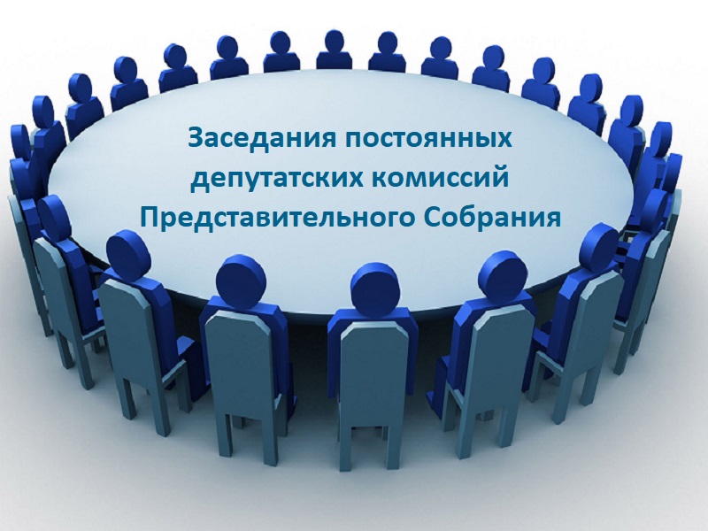Заседания постоянных депутатских комиссий Представительного Собрания.