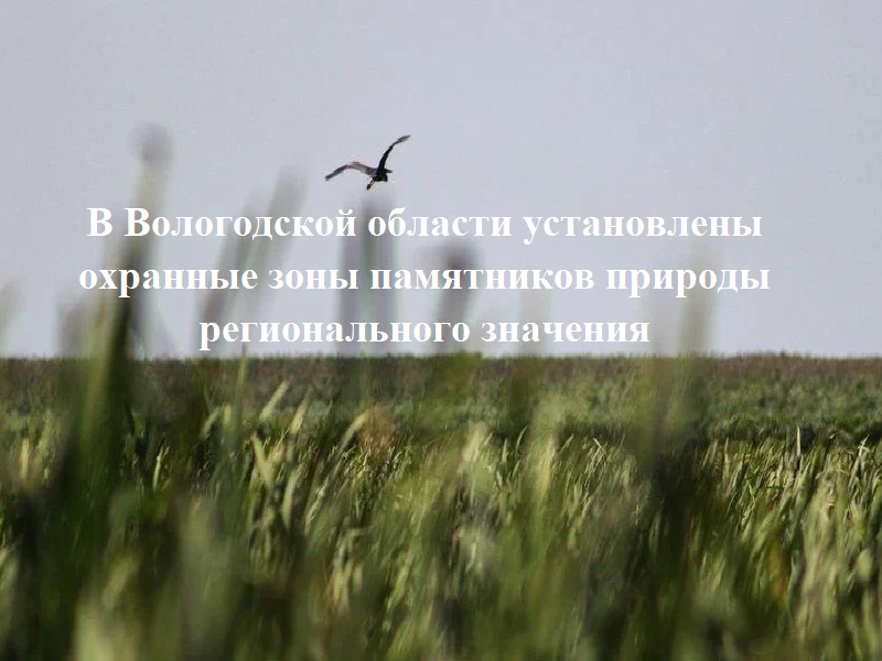 В Вологодской области установлены охранные зоны памятников природы регионального значения.