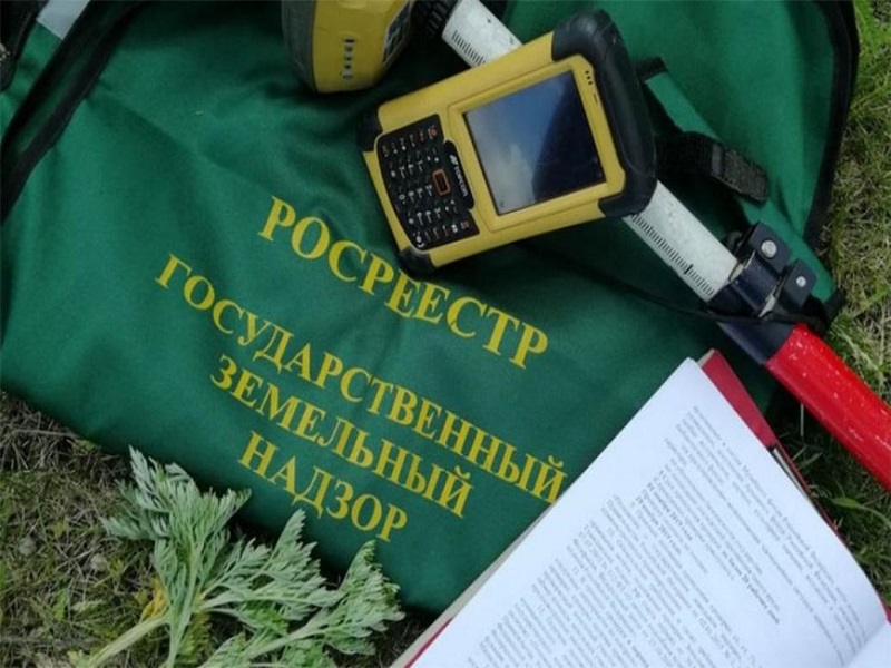 26 мая в Вологодском Росреестре проконсультируют по вопросам земельного надзора.