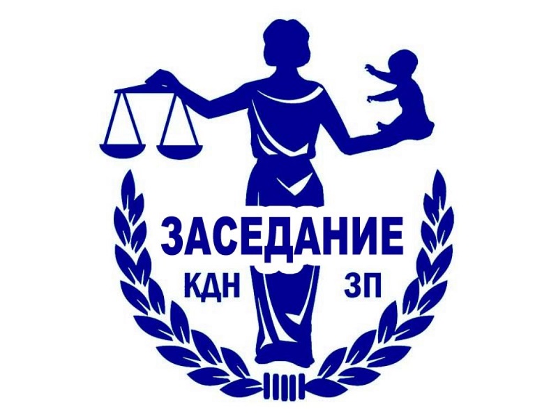 27 сентября 2023 года состоялось очередное заседание Комиссии по делам несовершеннолетних и защите их прав Шекснинского муниципального района.