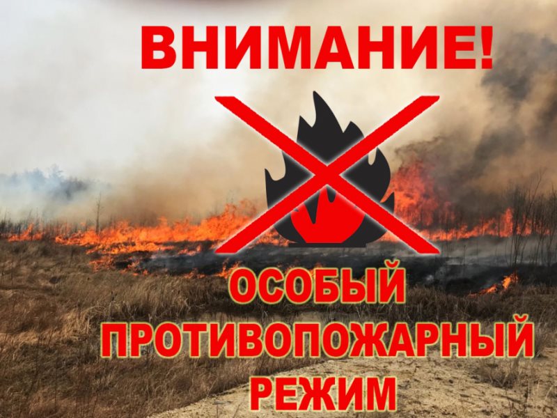 С 15 апреля до 13 мая 2024 года на территории Вологодской области установлен особый противопожарный режим.