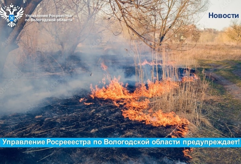 В Вологодском Росреестре напомнили о необходимости соблюдения мер пожарной безопасности на землях сельскохозяйственного назначения.