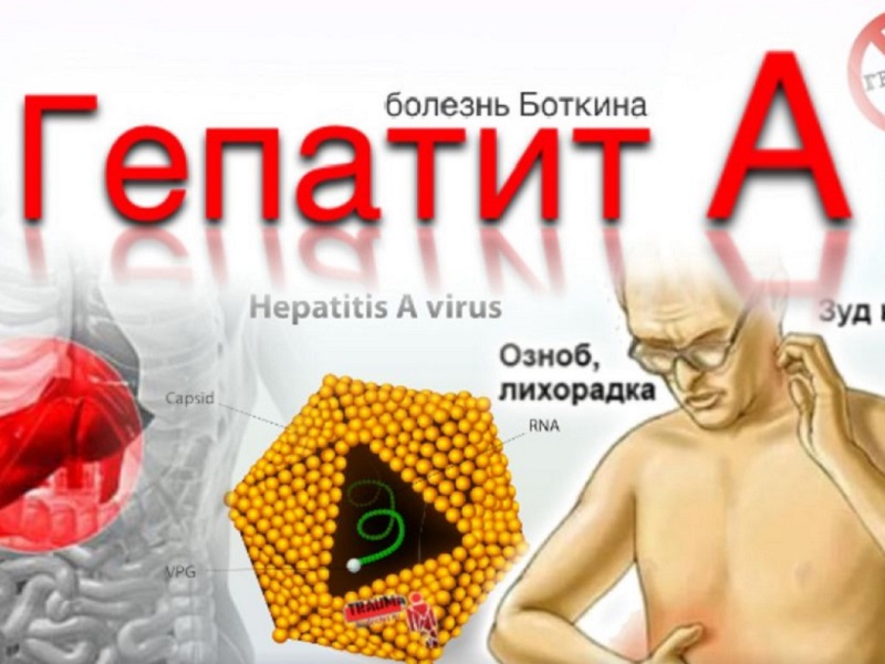 Что нужно знать о вирусном гепатите А?.
