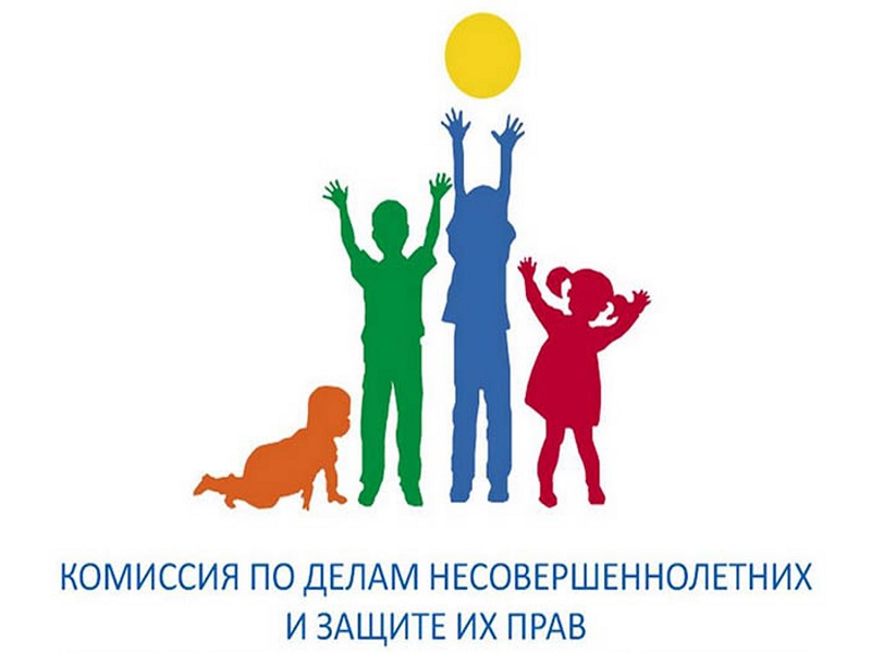 13 сентября 2023 года состоялось очередное заседание Комиссии по делам несовершеннолетних и защите их прав Шекснинского муниципального района.