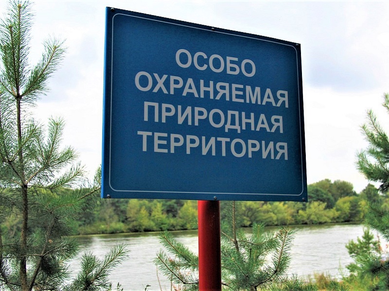 Череповецкой межрайонной природоохранной прокуратурой проведена проверка соблюдения законодательства об особо охраняемых природных территориях.