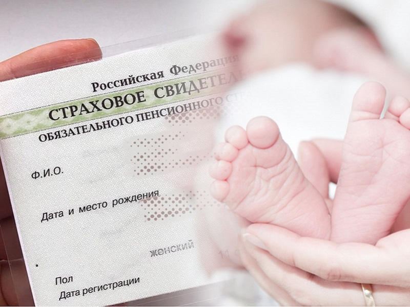 Отделение СФР по Вологодской области проактивно оформило СНИЛС 1755 новорожденным в 2024 году.