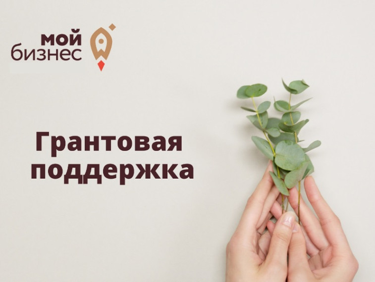 Социальным предпринимателям Вологодчины расскажут, как получить грант до 500 тысяч рублей.