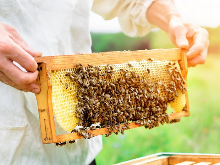 Районный конкурс пчеловодов 2023 года.