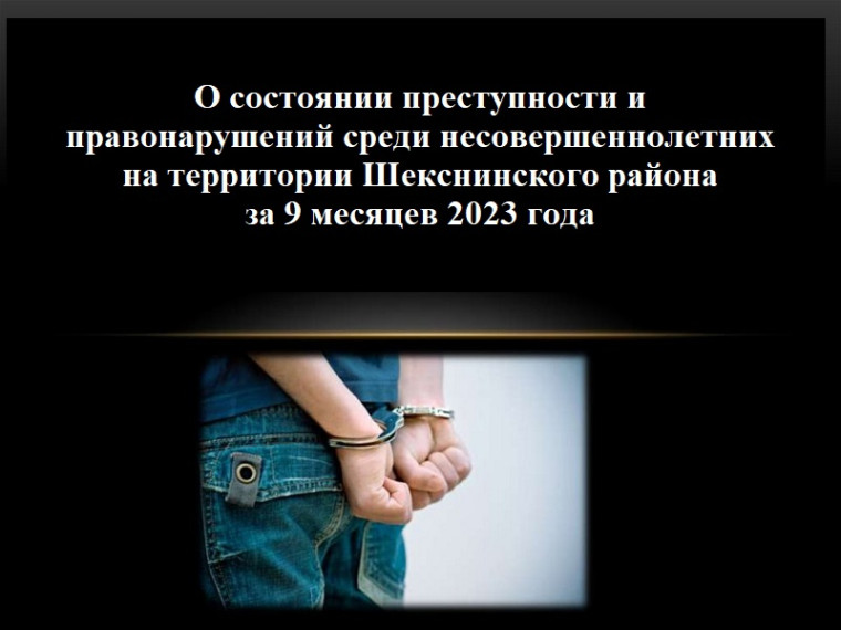 Справка  о состоянии преступности и правонарушений среди несовершеннолетних на территории Шекснинского района за 9 месяцев 2023 года.