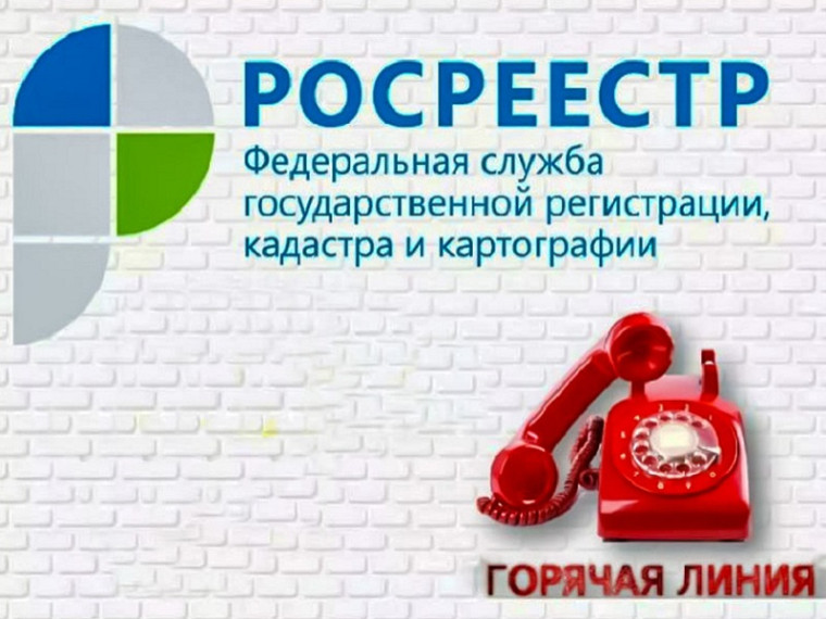 Управление Росреестра по Вологодской области проведет горячую линию по вопросам оформления прав на недвижимость с участием детей.